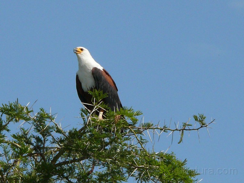 345 343 P1130555.jpg